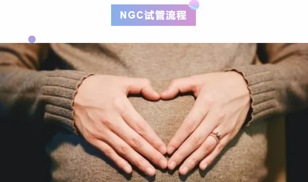 俄罗斯NGC试管流程