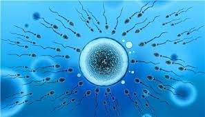 老公的精子少，存活率15%可以做试管婴儿吗