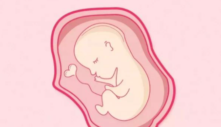 养胎助孕&养护身心