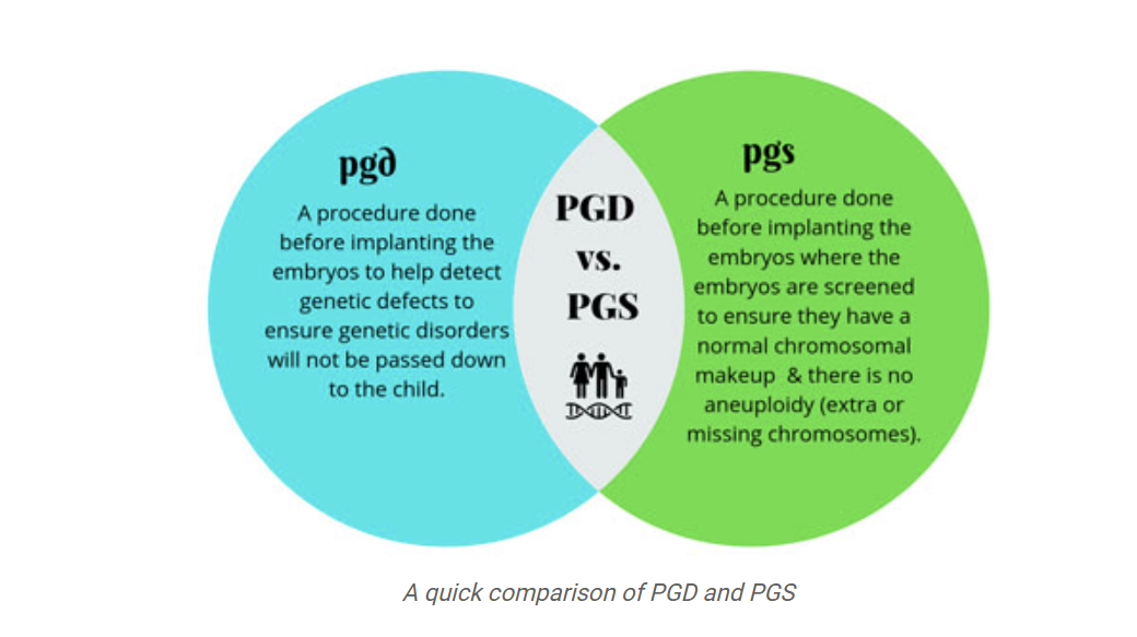 试管婴儿临床医生解释 PGD 和 PGS 测试之间的差异
