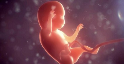 植入前胚胎诊断之临床应用