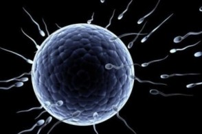 试管婴儿植入小知识，教你分辨最佳的胚胎植入数量
