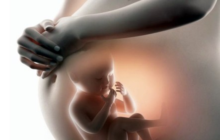 普维拉疗法如何帮助多囊患者怀孕更顺利？