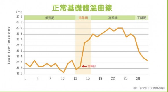 该如何由基础体温知道的周期？