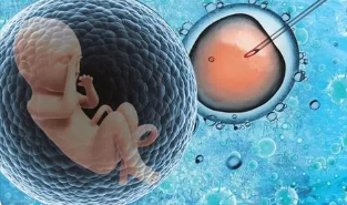 什么是冷冻胚胎