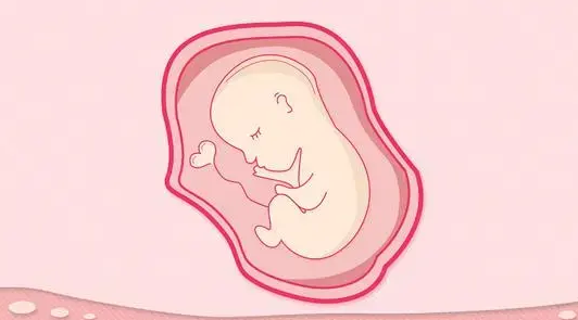 双侧多囊卵巢做试管婴儿的成功率高吗？