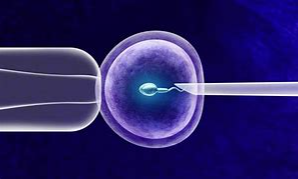囊胚培养有什么风险？