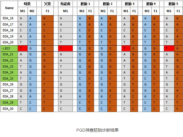 先天性少汗/无汗外胚层发育不全通过3代pgd基因检测技术免遗传